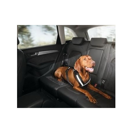 Ceinture de sécurité pour chiens