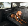 Ceinture de sécurité pour chiens