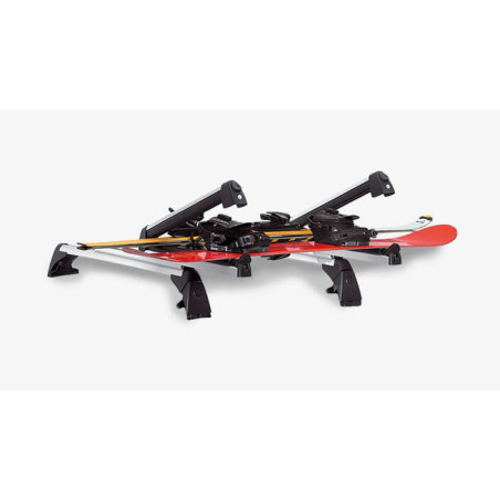Porte-skis téléscopique