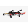 Porte-skis téléscopique